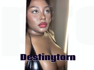 destinytorn Prolap Sex