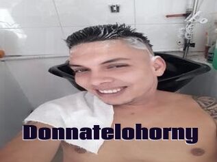 Donnatelohorny