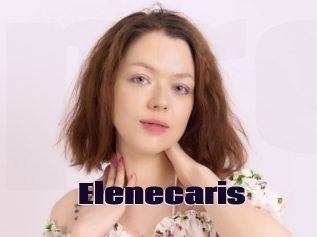Elenecaris