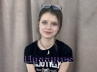 Elgaayres