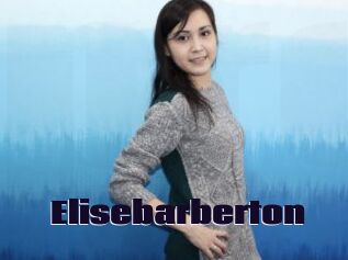 Elisebarberton