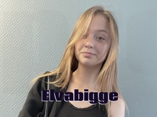 Elvabigge