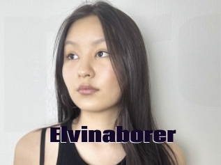Elvinaborer