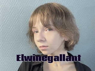 Elwinegallant