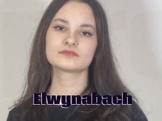Elwynabach
