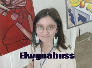 Elwynabuss