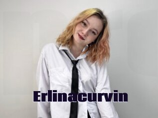 Erlinacurvin