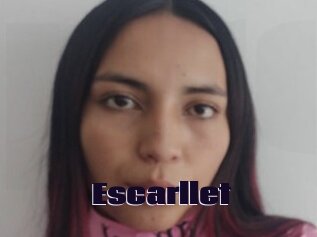 Escarllet