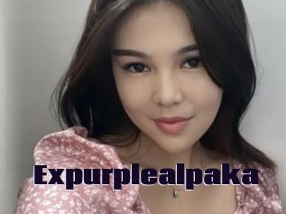 Expurplealpaka