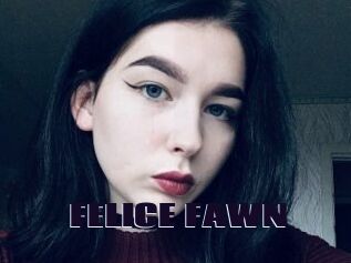 FELICE_FAWN