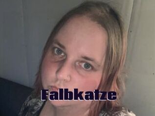 Falbkatze