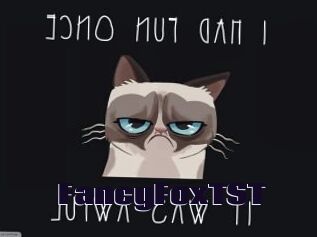 FancyFoxTST