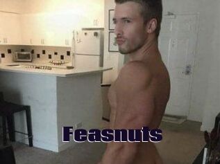 Feasnuts