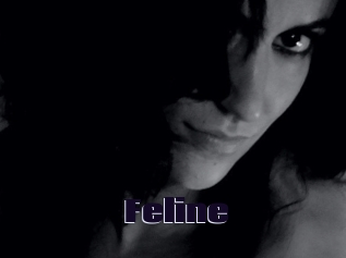 Feline