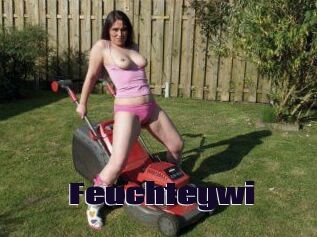 Feuchteywi