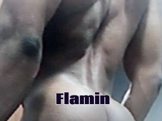 Flamin