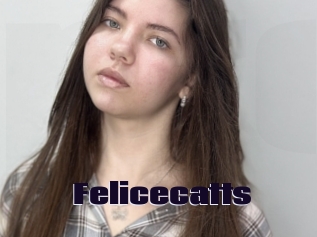 Felicecatts