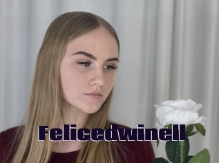 Felicedwinell