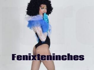 Fenixteninches