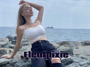 Fleurpixie