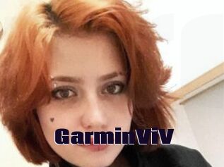 GarminViV