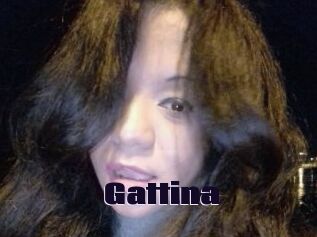 Gattina