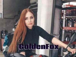 GoldenFox
