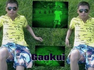 Gaokui