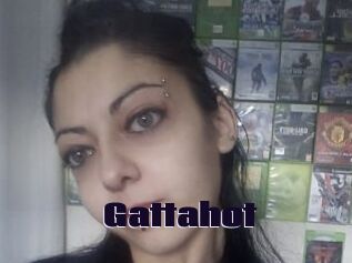 Gattahot