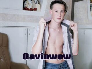 Gavinwow