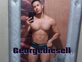 georgediesell Prolap Sex