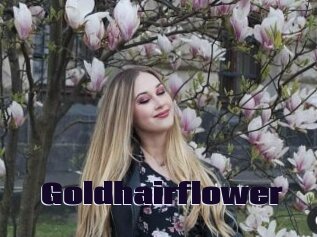 Goldhairflower