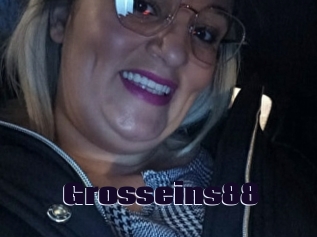 Grosseins88