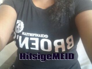 HitsigeMEID