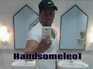 Handsomeleo1