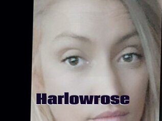 Harlowrose