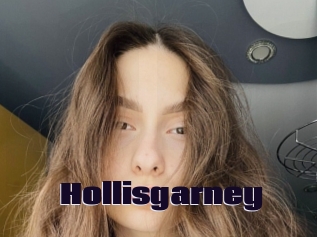 Hollisgarney
