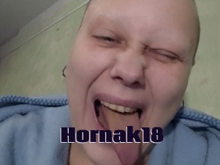 Hornak18