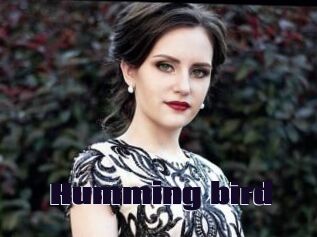 Humming_bird
