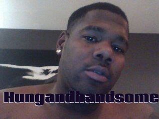 Hungandhandsome