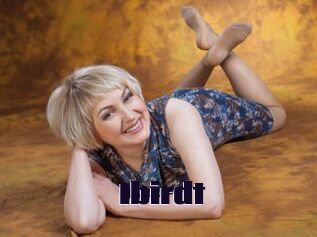 Ibirdt