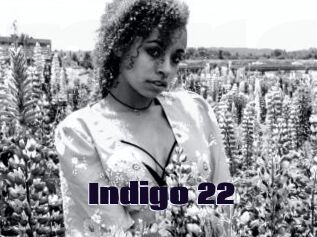 Indigo_22