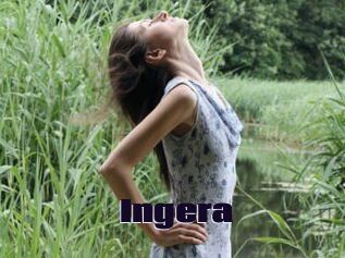 Ingera