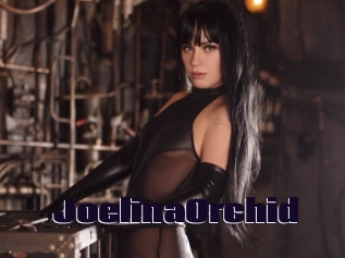 JoelinaOrchid Prolap Sex