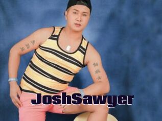 JoshSawyer
