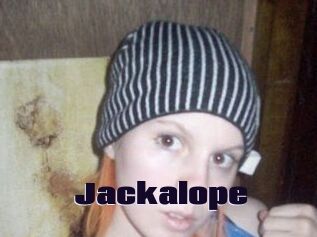 Jackalope