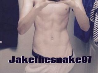 Jakethesnake97