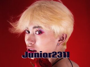 Junior2311