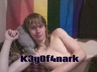 K3y0f4nark