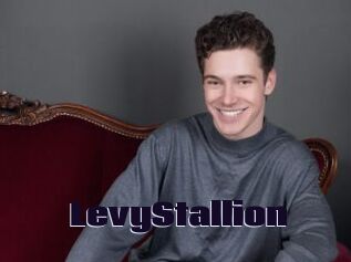 LevyStallion